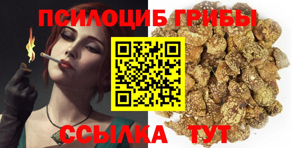 Петропавловск-Камчатский  купить   Вход с VPN  Галлюциногенные грибы Magic Shrooms 